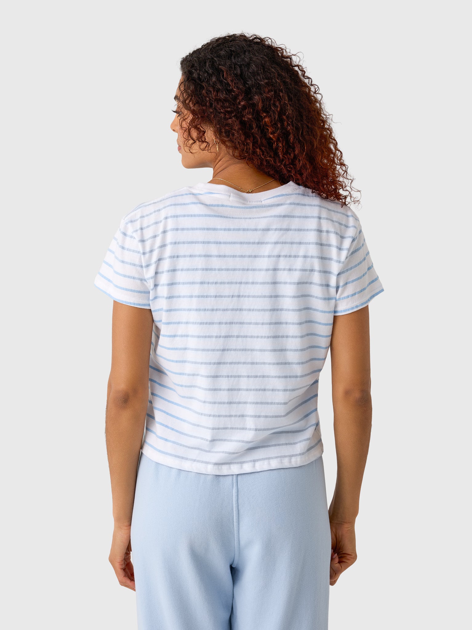 Perfect White Tee Women's Everett Stripe Tee - Saint Bernard