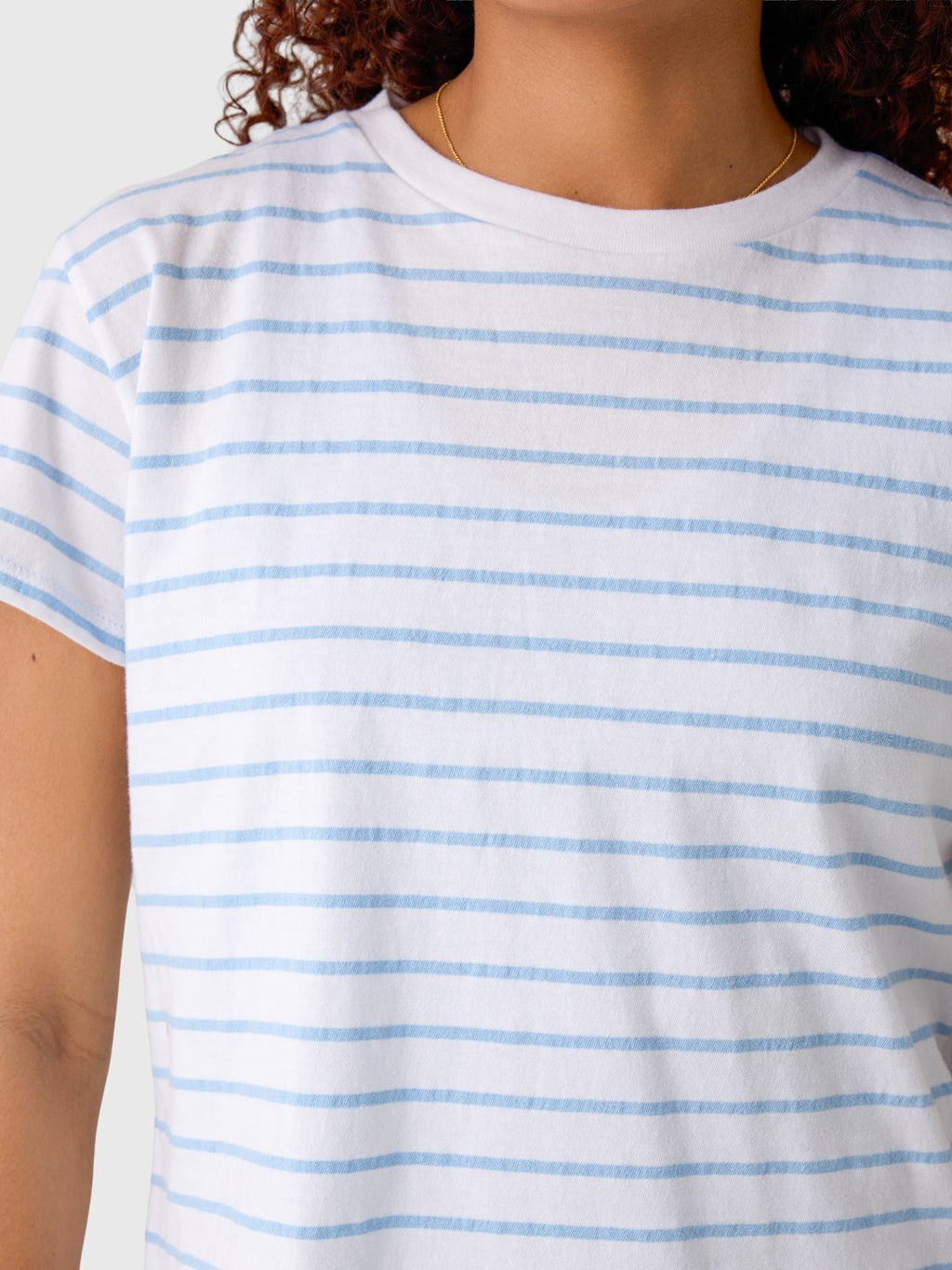 Perfect White Tee Women's Everett Stripe Tee - Saint Bernard