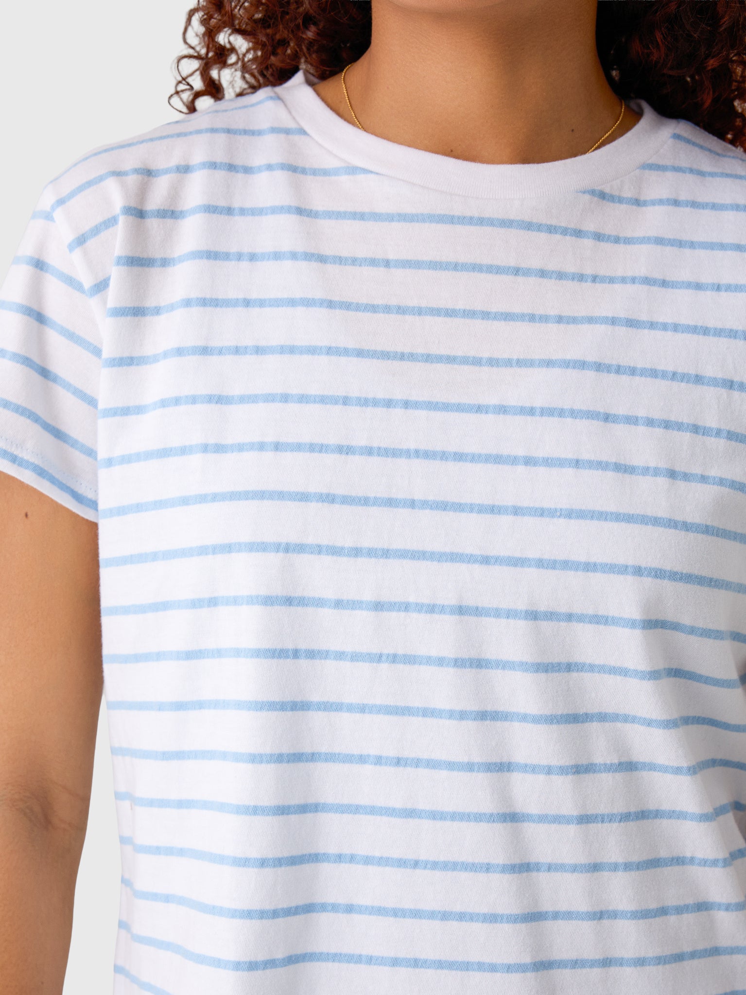 Perfect White Tee Women's Everett Stripe Tee - Saint Bernard