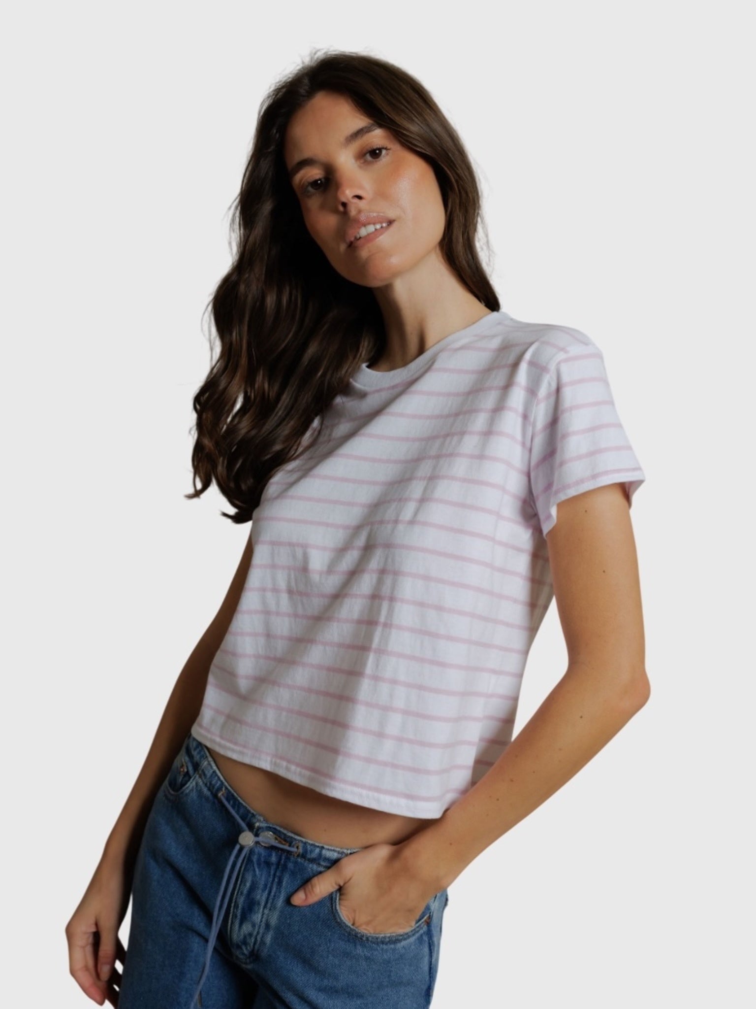 Perfect White Tee Women's Everett Stripe Tee - Saint Bernard