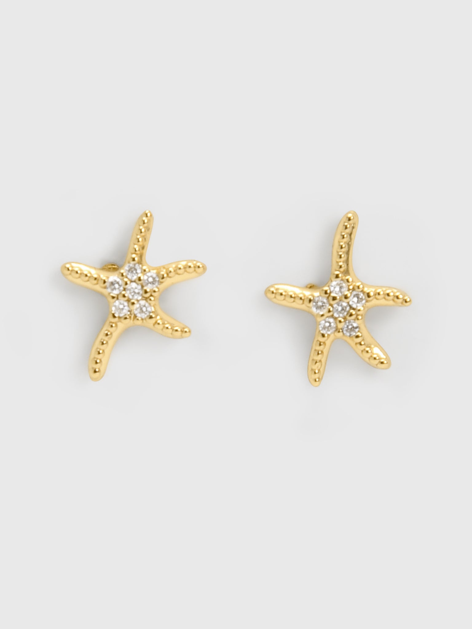 TAI Pavé Starfish Stud Earrings - Saint Bernard
