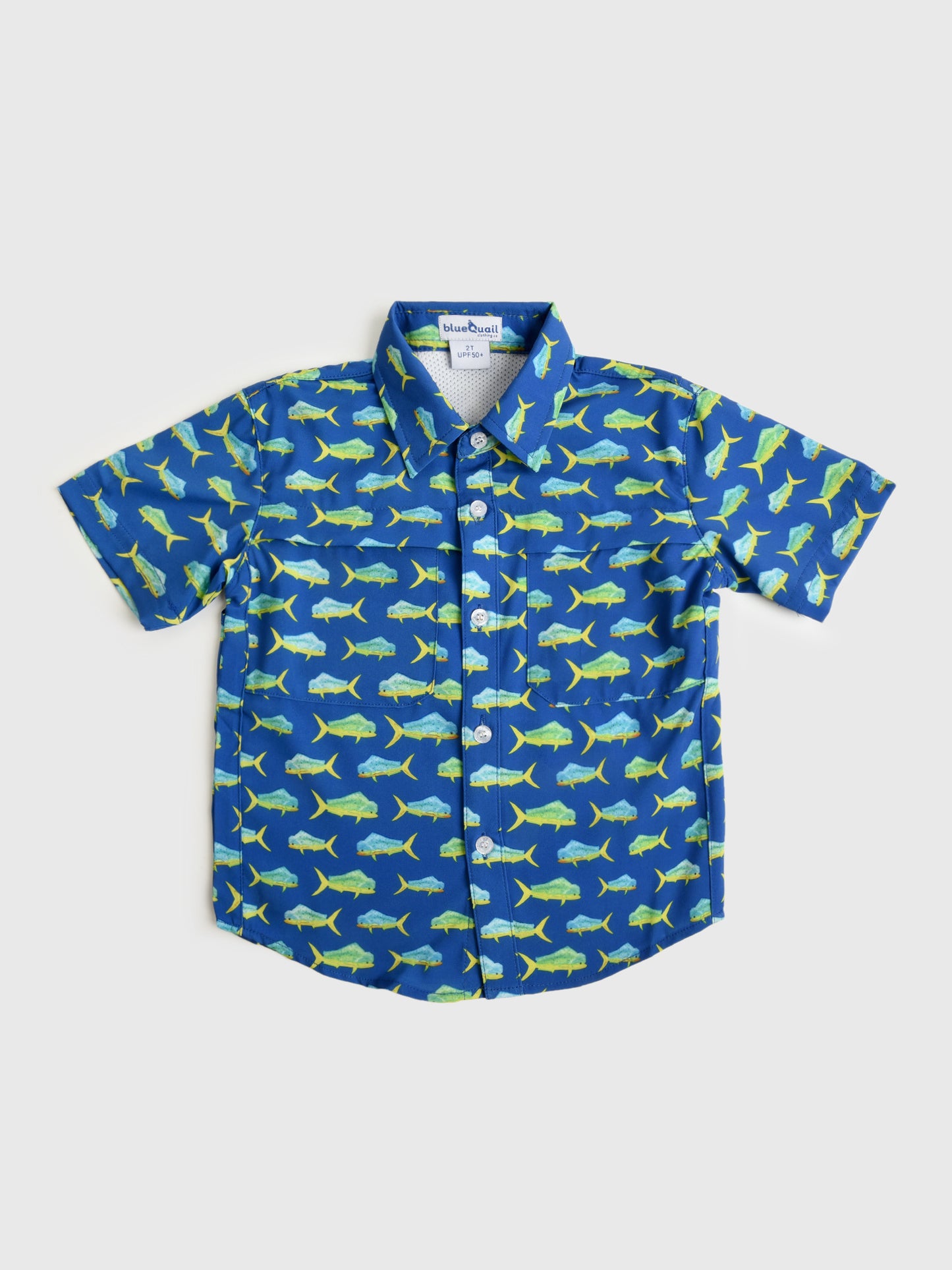 Blue Quail Boys' Everyday Button-Down Shirt - Saint Bernard