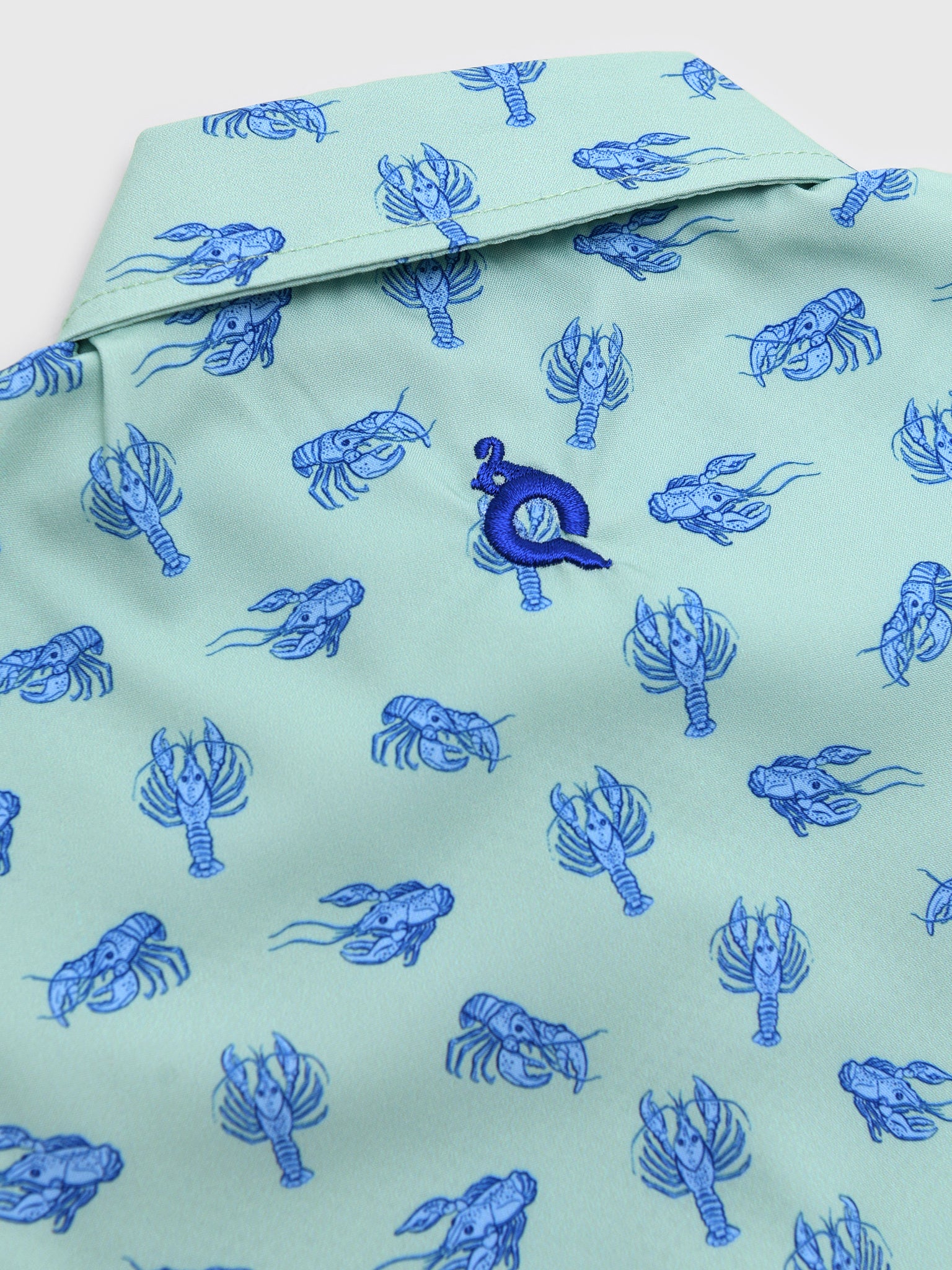 Blue Quail Boys' Everyday Button-Down Shirt - Saint Bernard