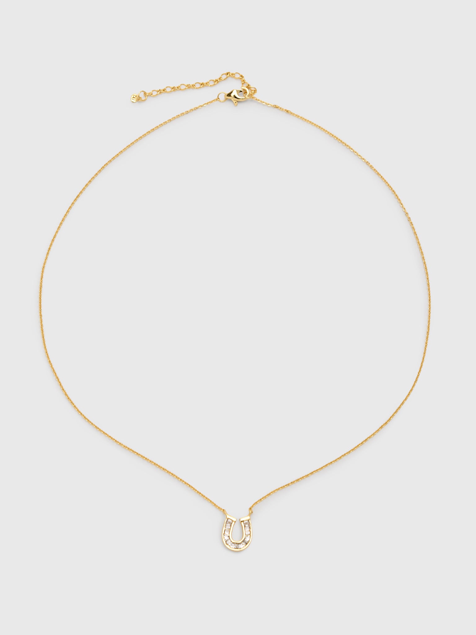 TAI Baguette Horseshoe Necklace - Saint Bernard