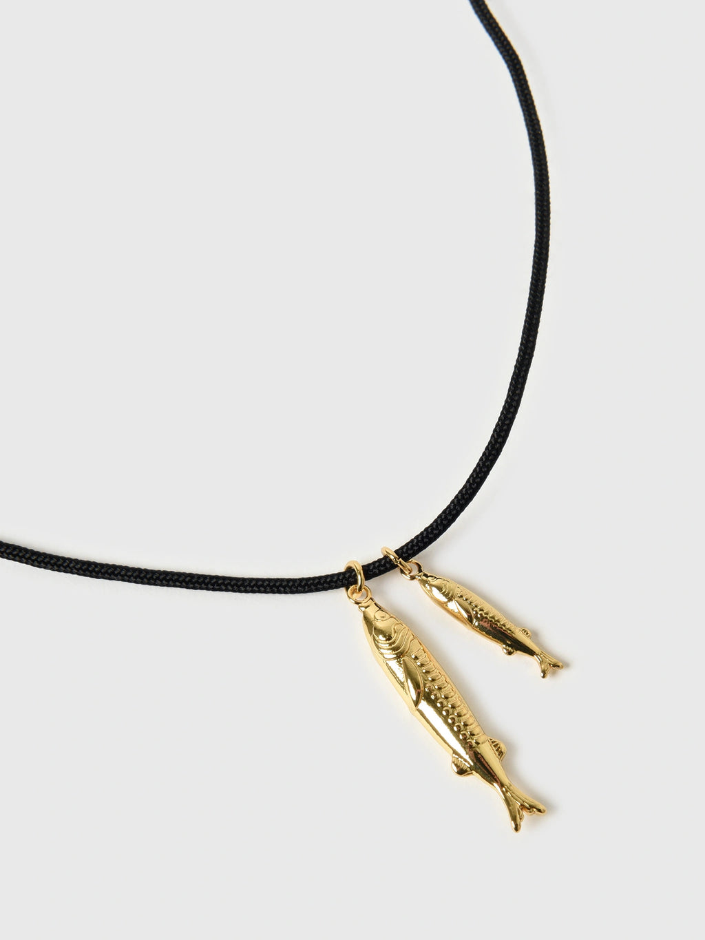 TN-5121xGOLD-alt2