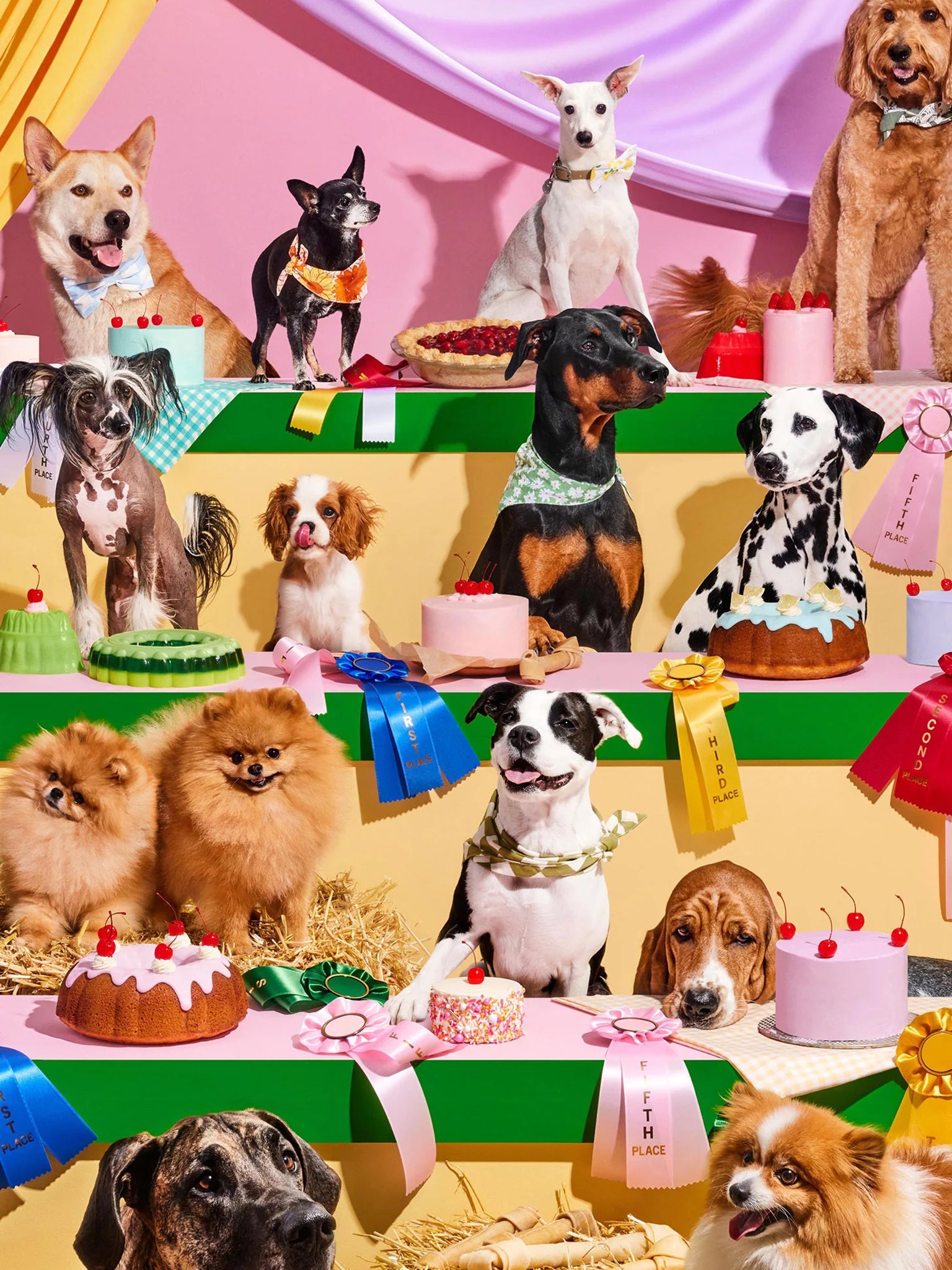 TOPDOGPUZZLExGREEN-alt3