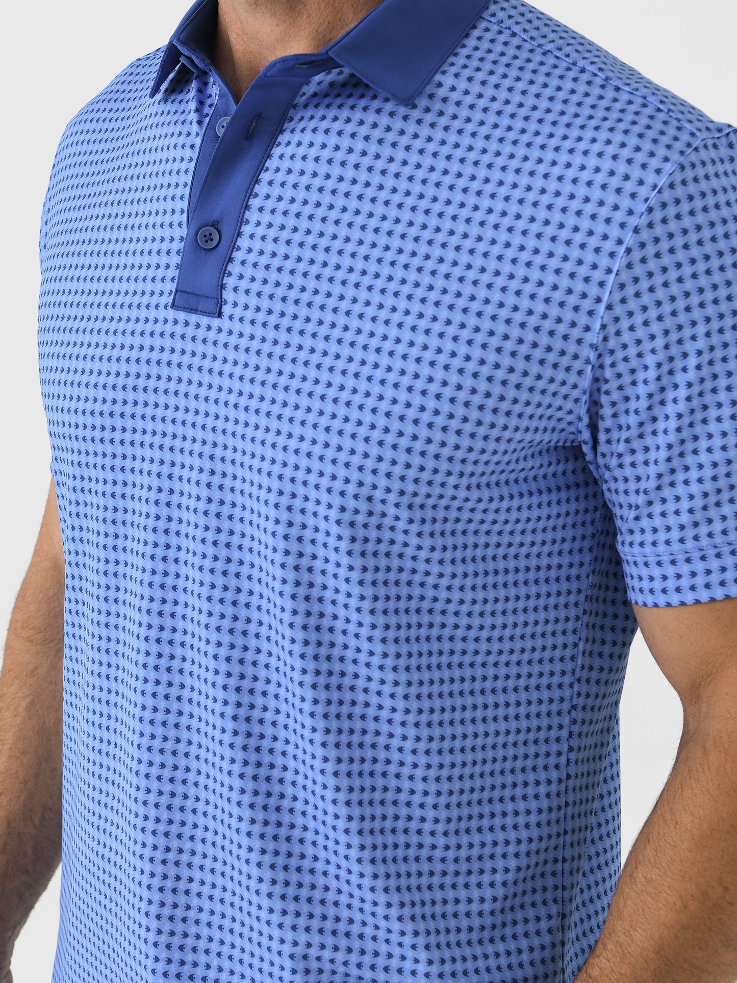 TPO13-PCUxPROVENCECURRENT-alt4