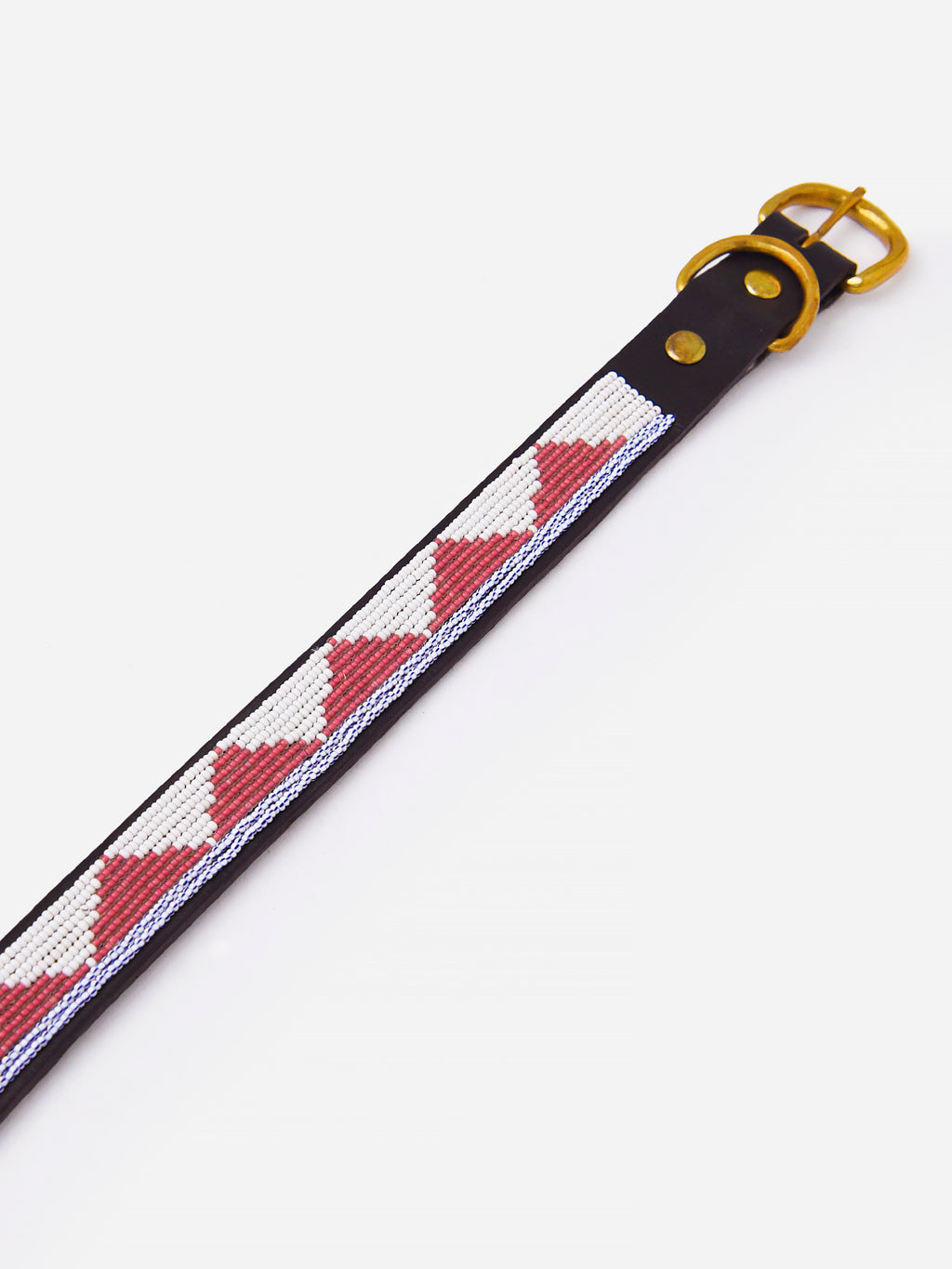 Ubuntu Triangle Dog Collar - Saint Bernard