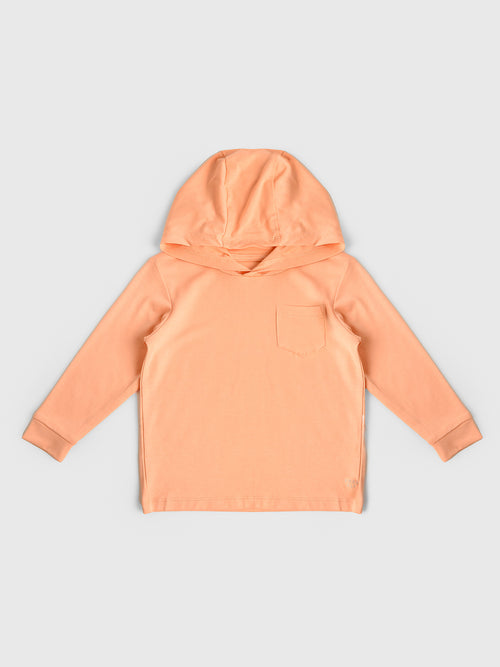 Free Fly Toddler Boys' Bamboo Shade Hoodie