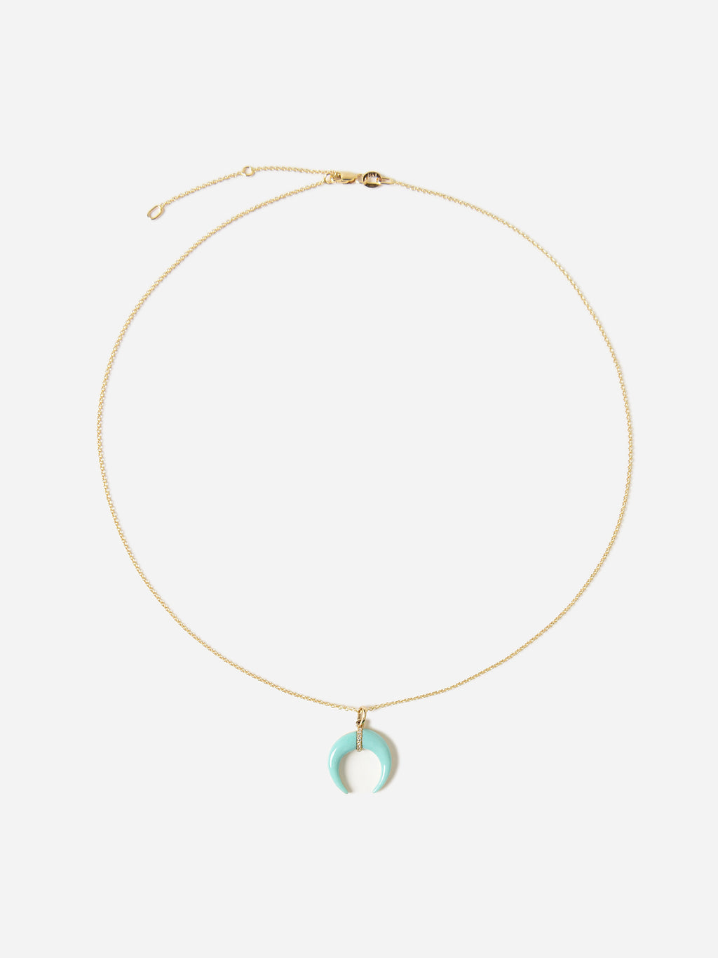 Francie B. Women's Turquoise Charm Necklace - Saint Bernard