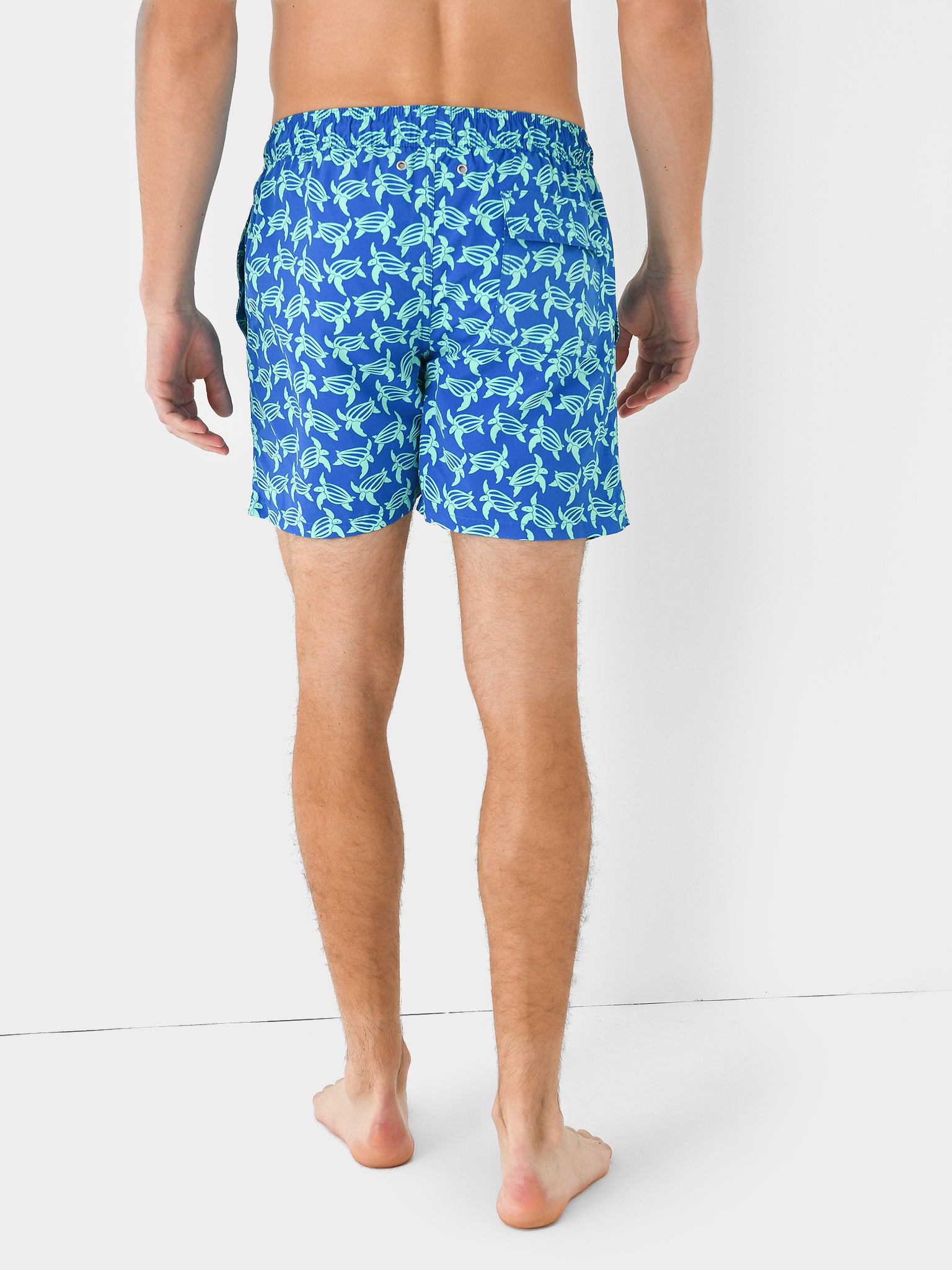 TURTLE MENxBLUEICEGREEN-alt3