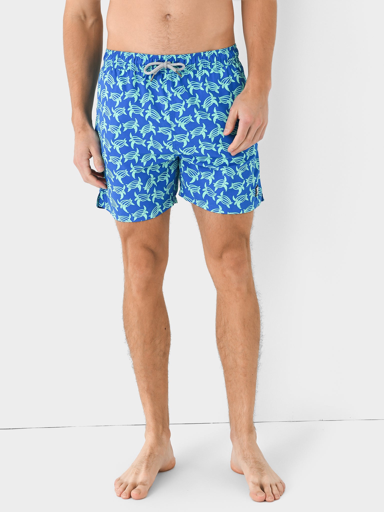 Tom + Teddy Men's Turtle Swim Trunk - Saint Bernard