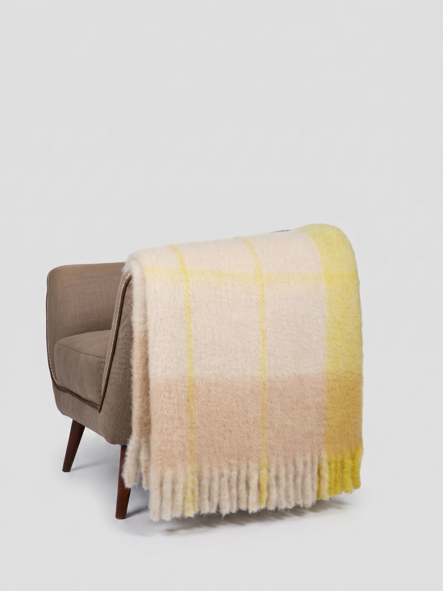 Mantas Ezcaray Twist Frame Throw Blanket - Saint Bernard