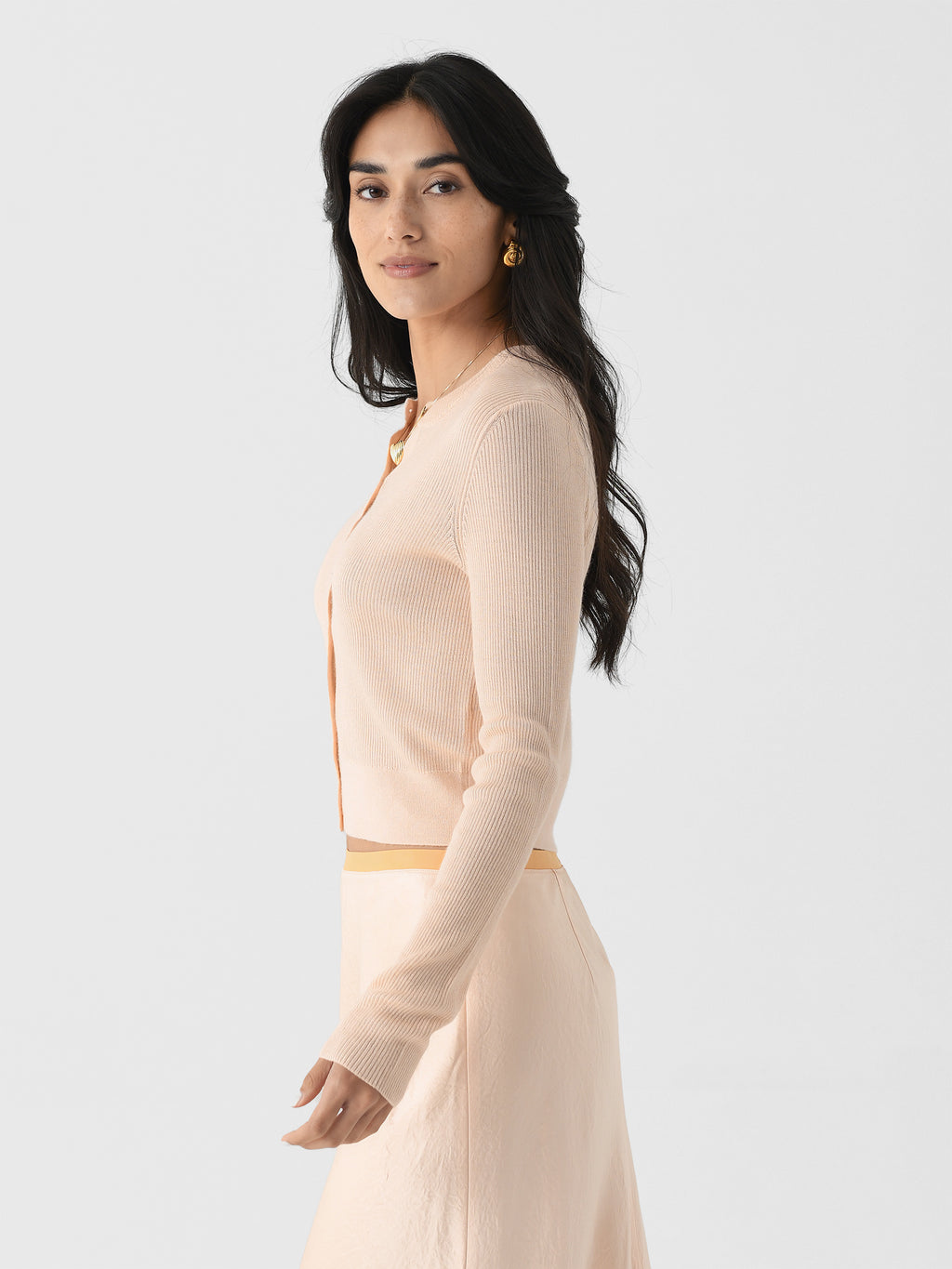 V108579726xROSENECTAR-alt2