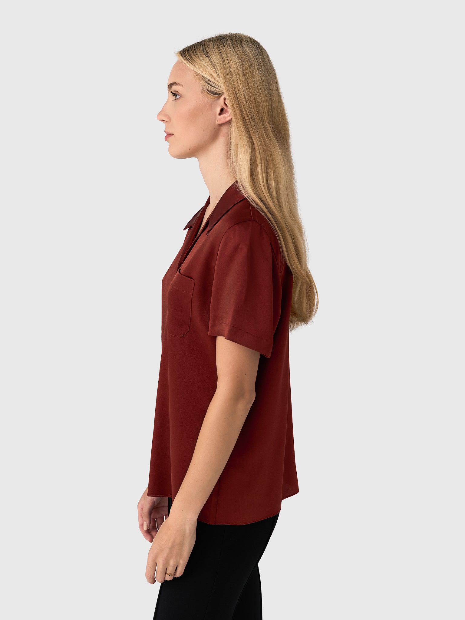 V133313133xSIENA-alt2