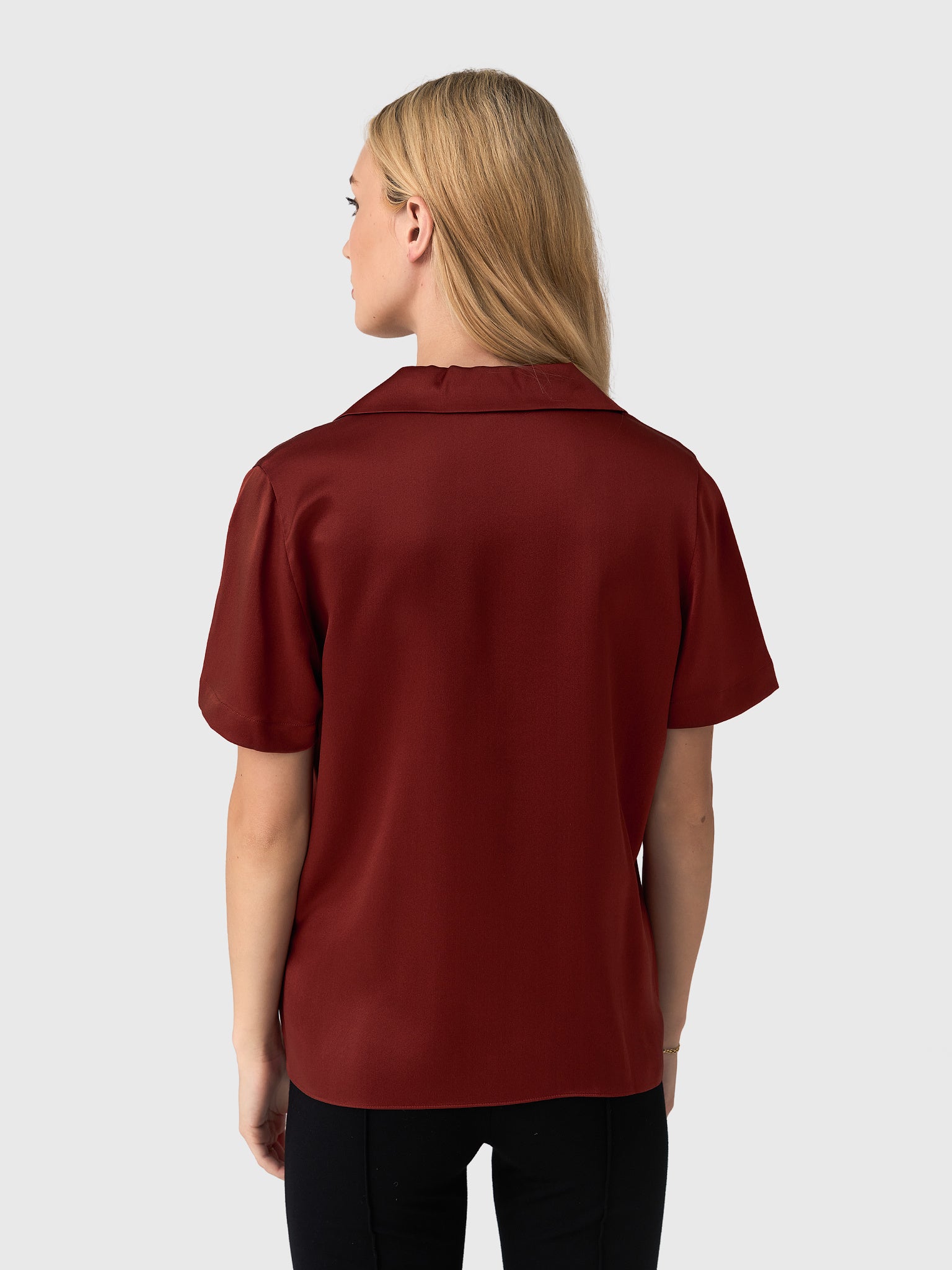 V133313133xSIENA-alt3