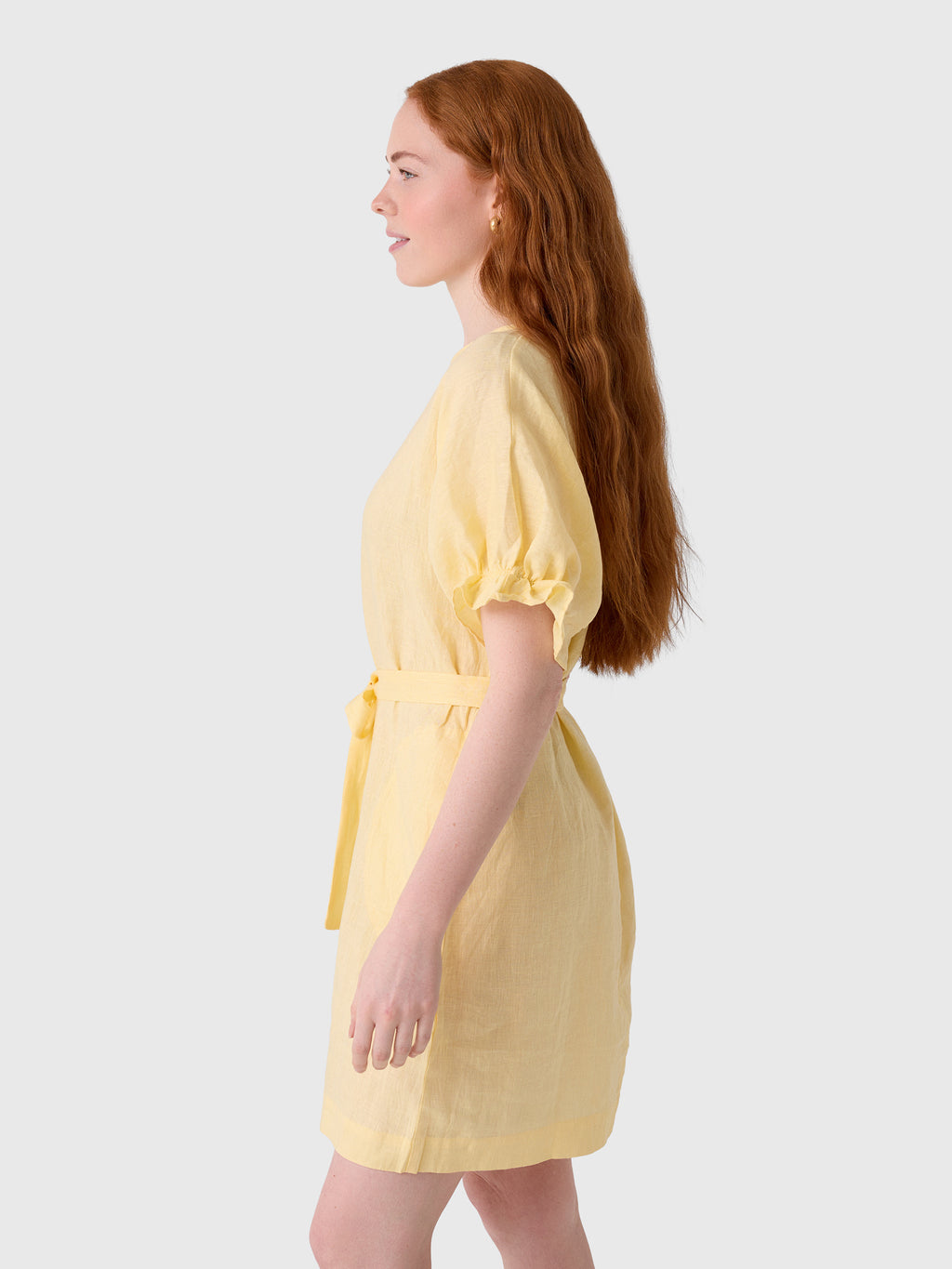 Velvet Women's Vivian Dress - Saint Bernard