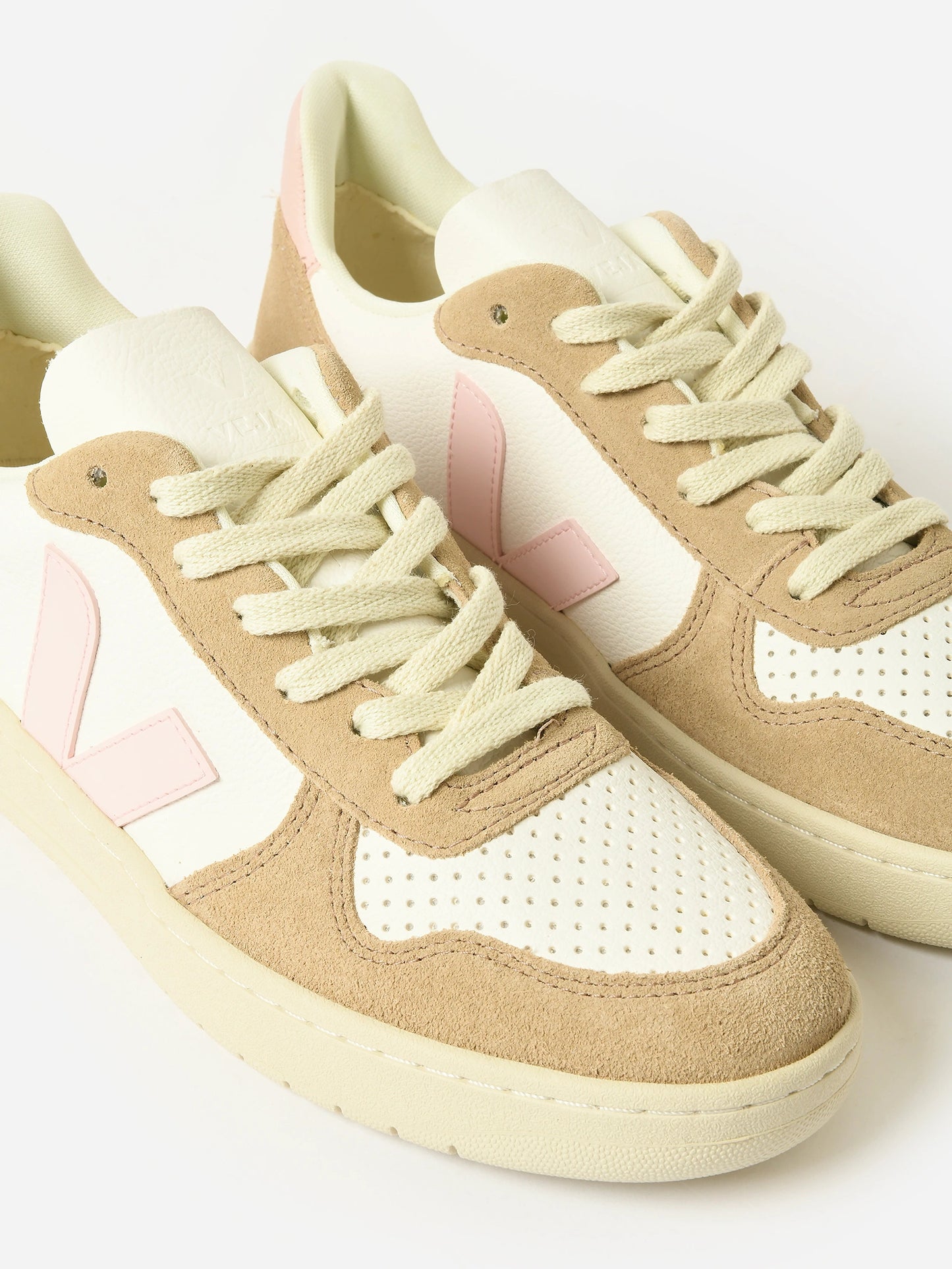 VX0503299xEXTRAWHITEPETALESAHARA-alt3