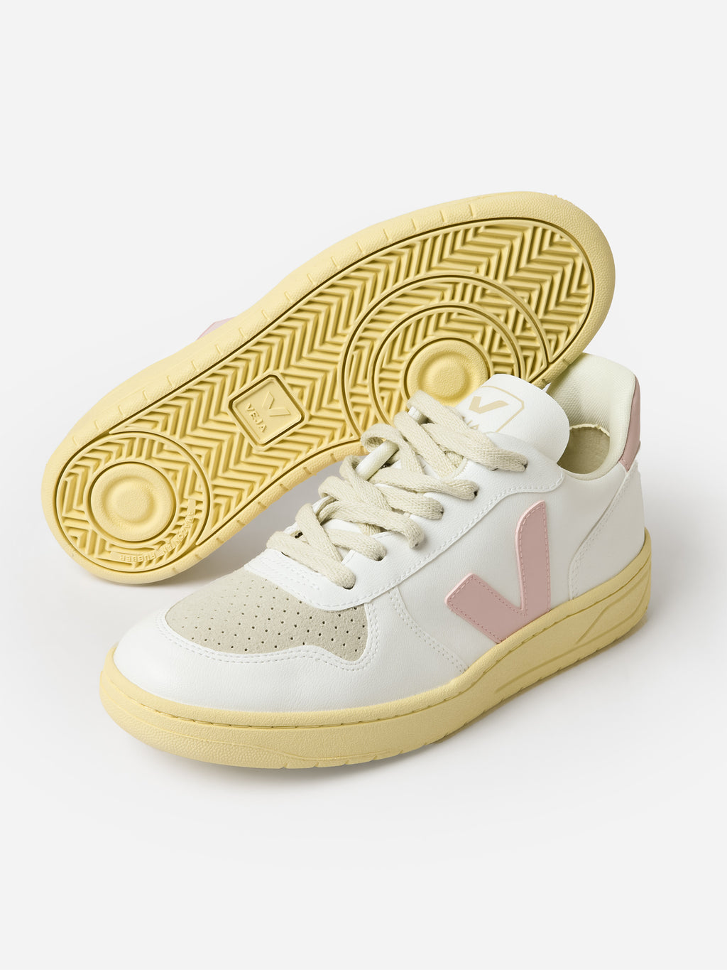 VX0703131AxWHITEPETALE-alt3