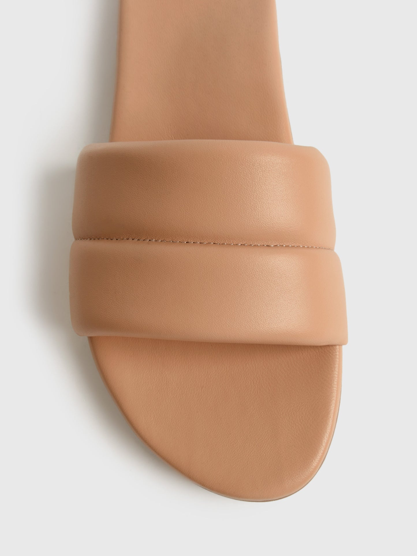 W02SUGRBRDxBEACH-alt1