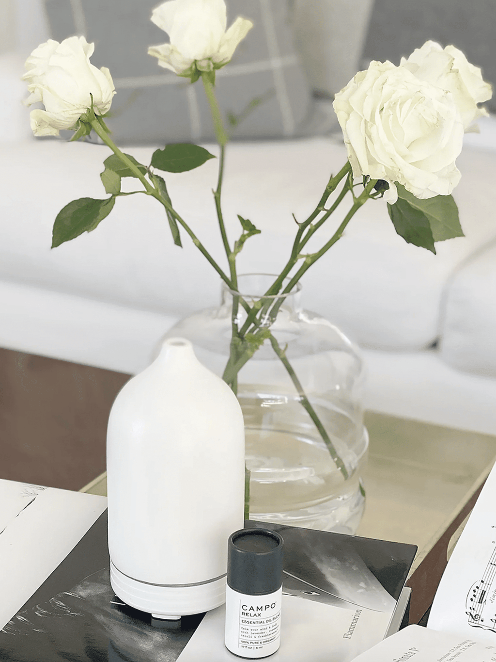 WHITECERAMICDIFFUSERxWHITE-alt2