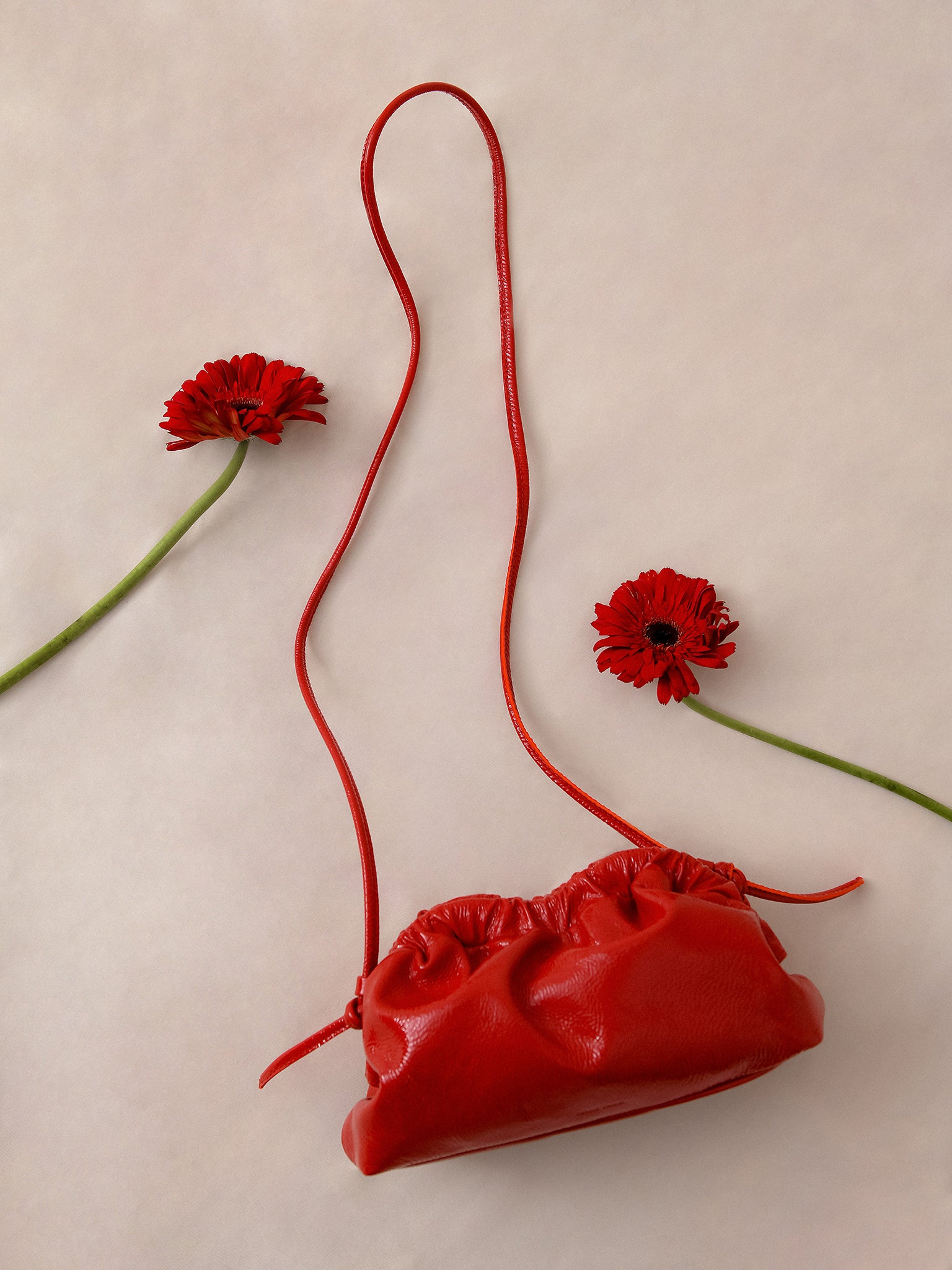 WP20H010NLxPOPPY-alt1