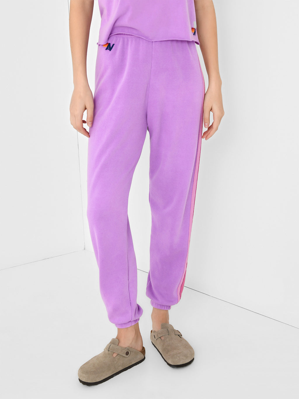 Aviator Nation Women's 5 Stripe Sweatpant - Saint Bernard