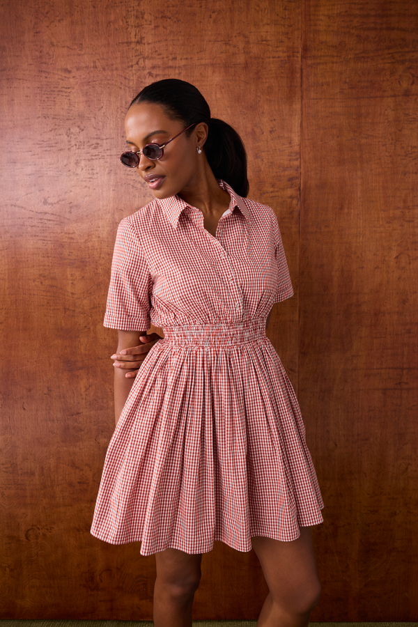 A woman wearing a pink and white gingham short-sleeve collared dress with a smocked waist, posing against a warm brown wood-paneled background.