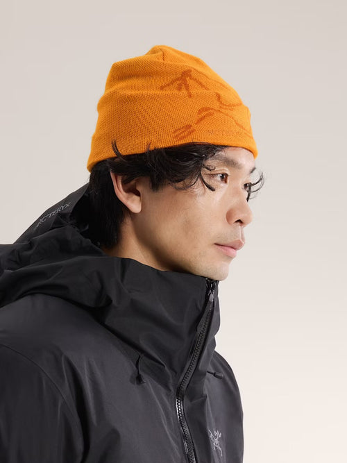 Arc`teryx Men's Bird Head Toque