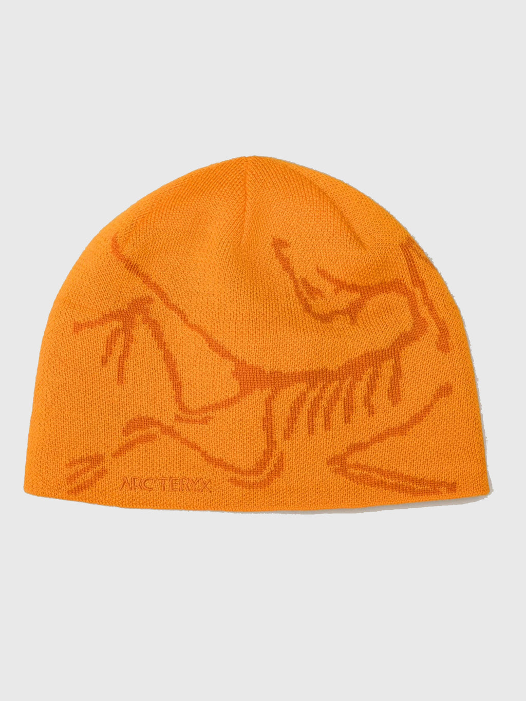 Arc`teryx Men's Bird Head Toque - Saint Bernard
