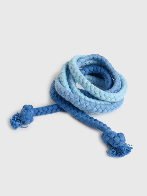 Xirena Women's Havana Belt