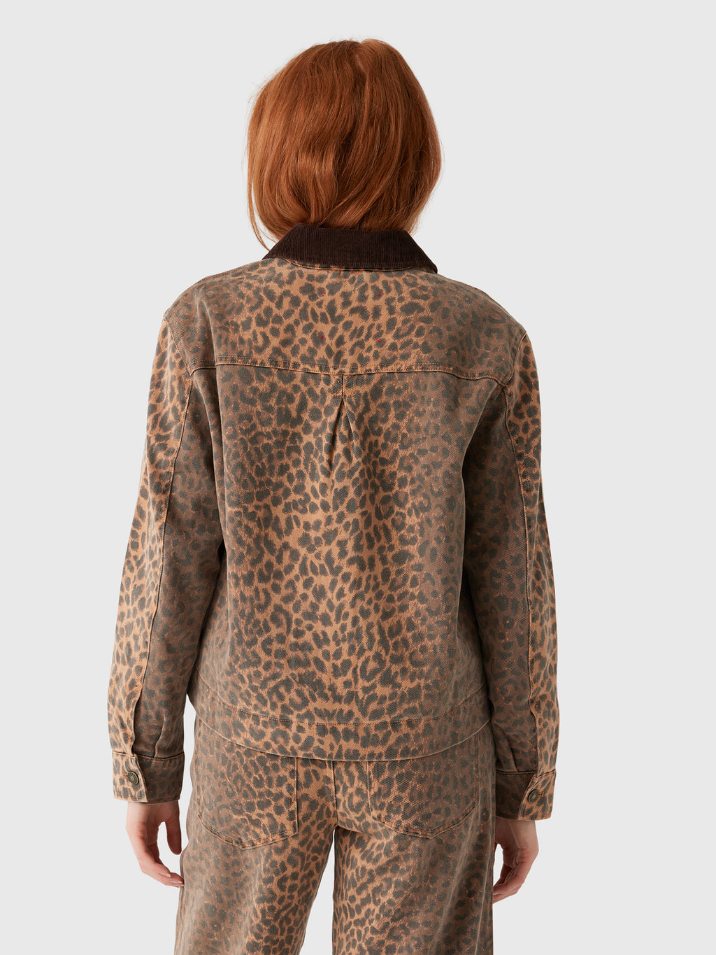 Xirena Women's Earle Jacket - Saint Bernard