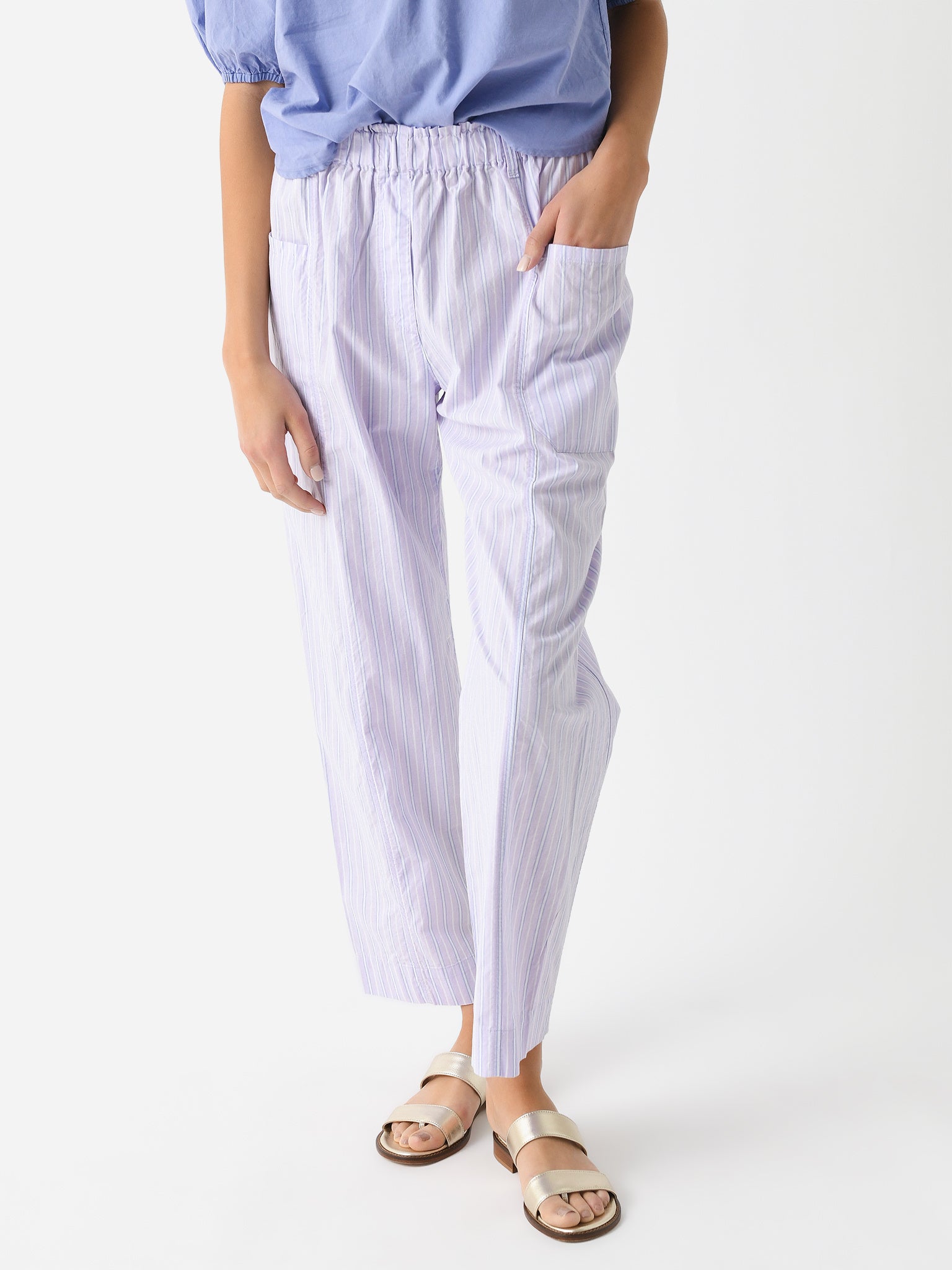 Xirena Women's Jake Pant - Saint Bernard