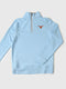 TEXAS LONGHORNS COTTAGE BLUE