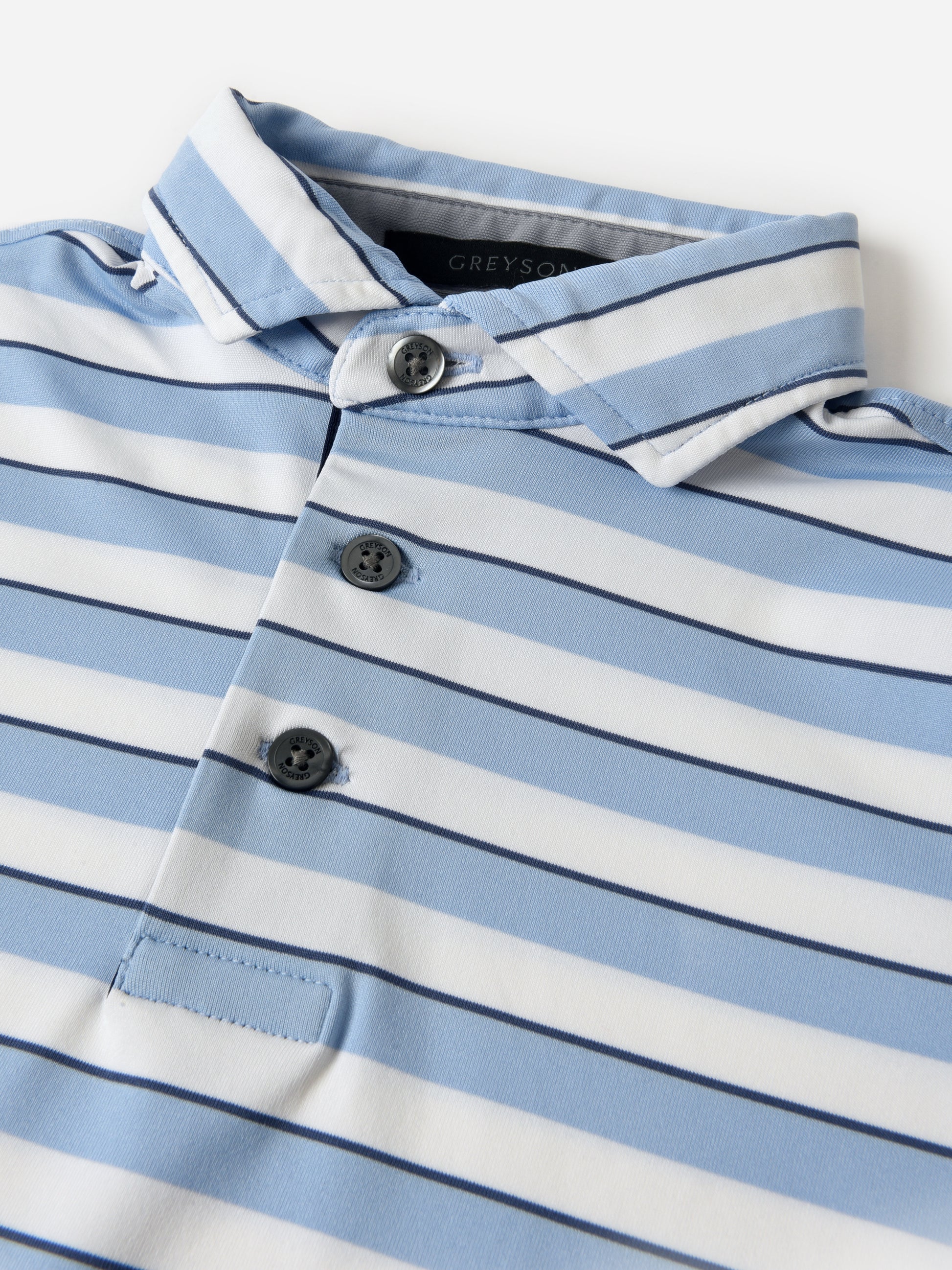 YFA24K05xDELPHINIUMARCTICFALCON-alt1