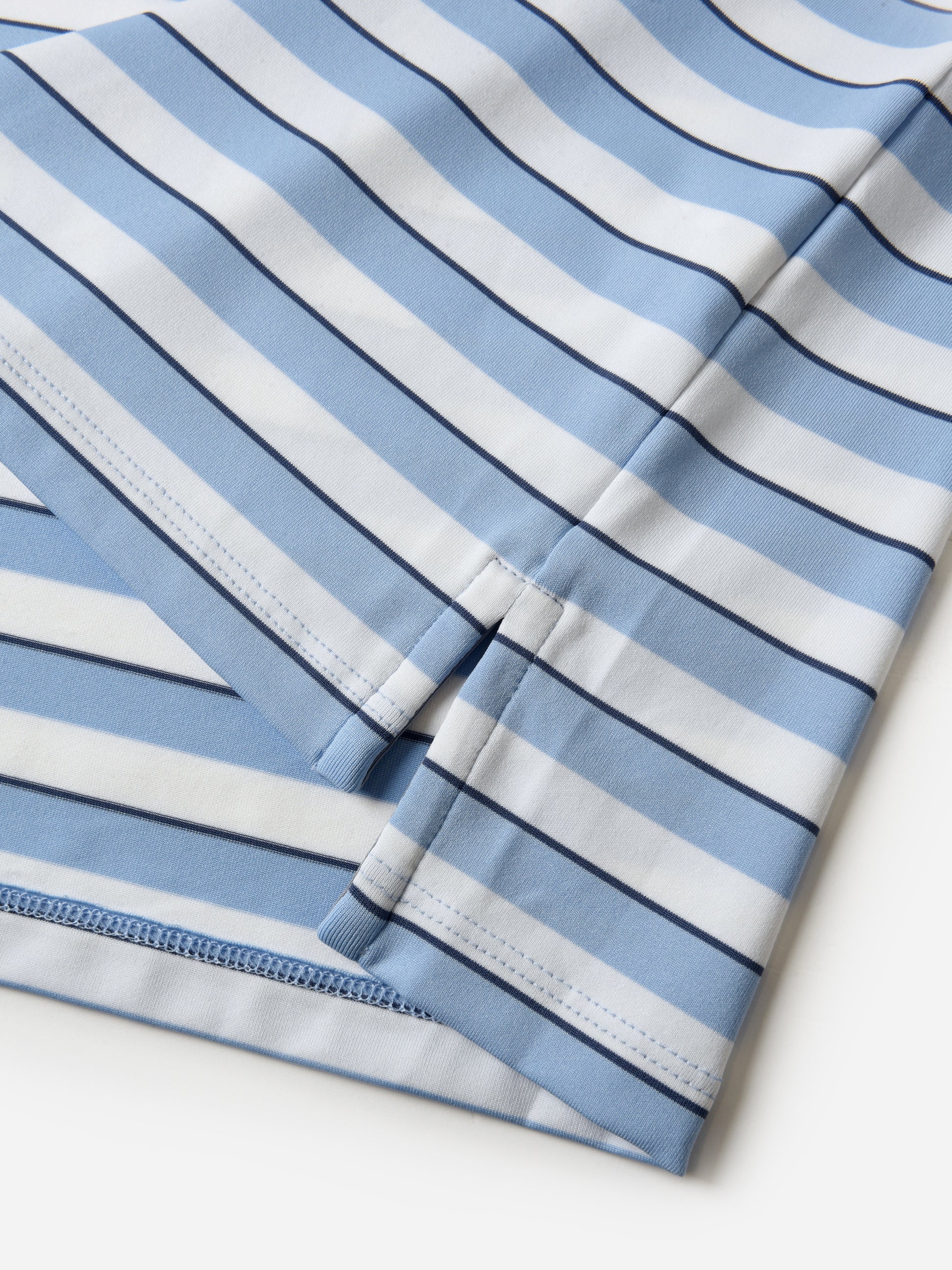 YFA24K05xDELPHINIUMARCTICFALCON-alt2