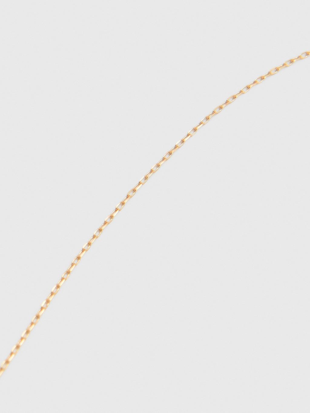 Adina Reyter Signature Chain Necklace - Saint Bernard