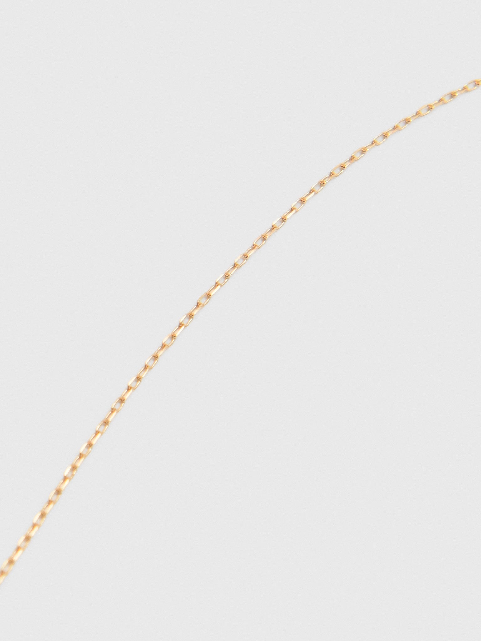 Adina Reyter Signature Chain Necklace - Saint Bernard