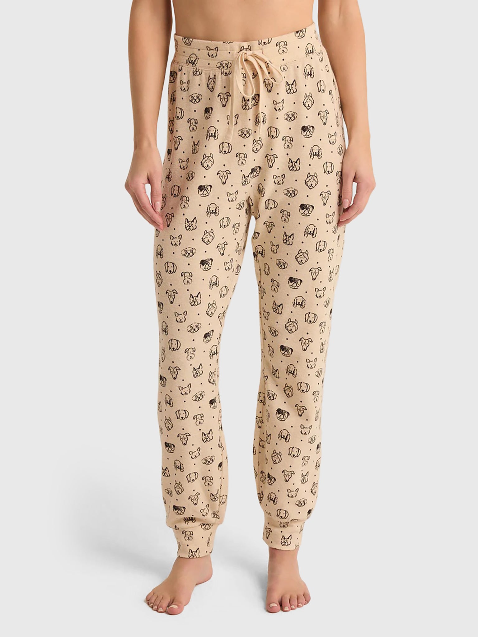 Z Supply Women's Pup Brushed Knit Jogger - Saint Bernard