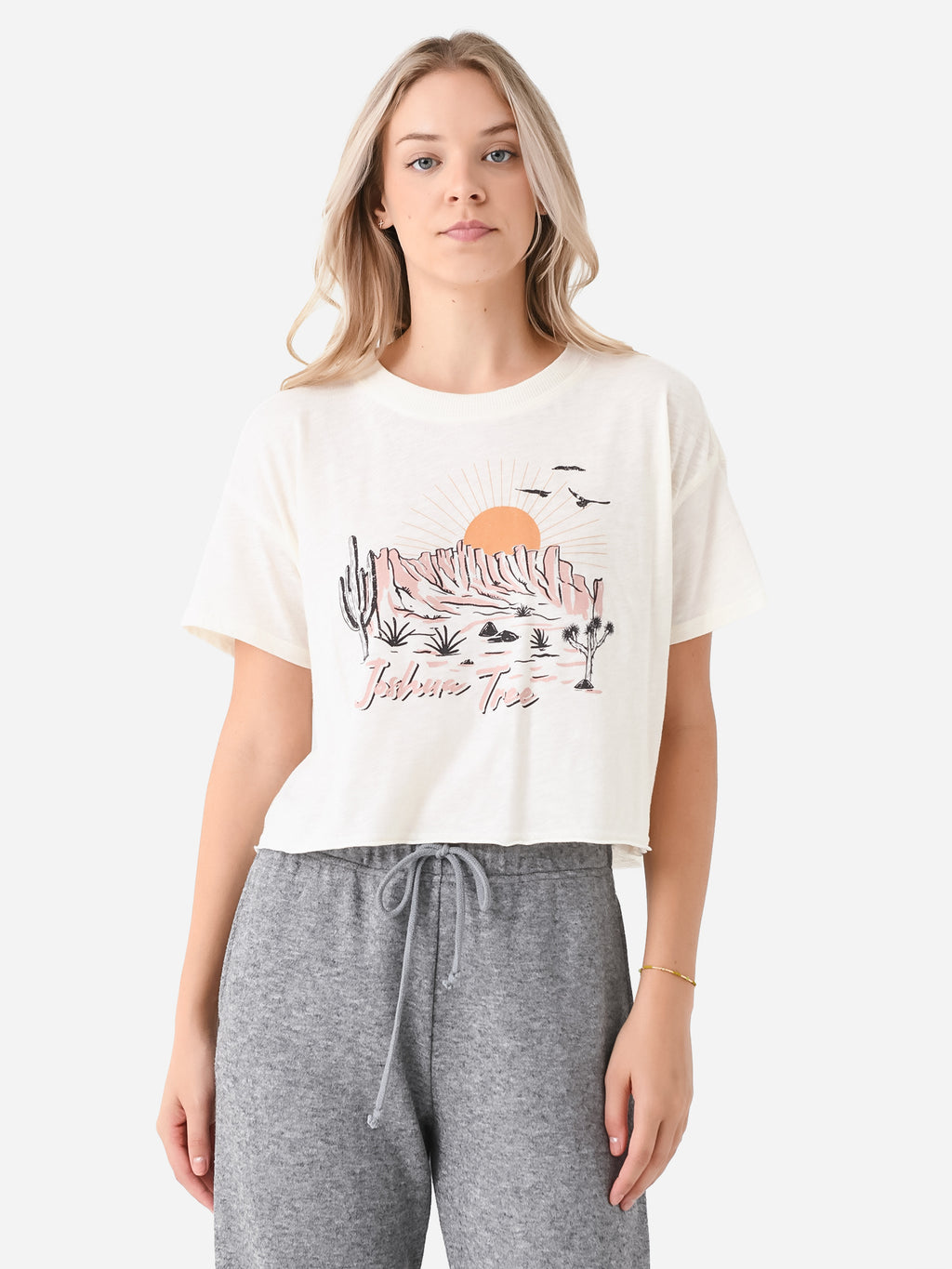 Z Supply Women's Vintage Joshua Tree Tee - Saint Bernard