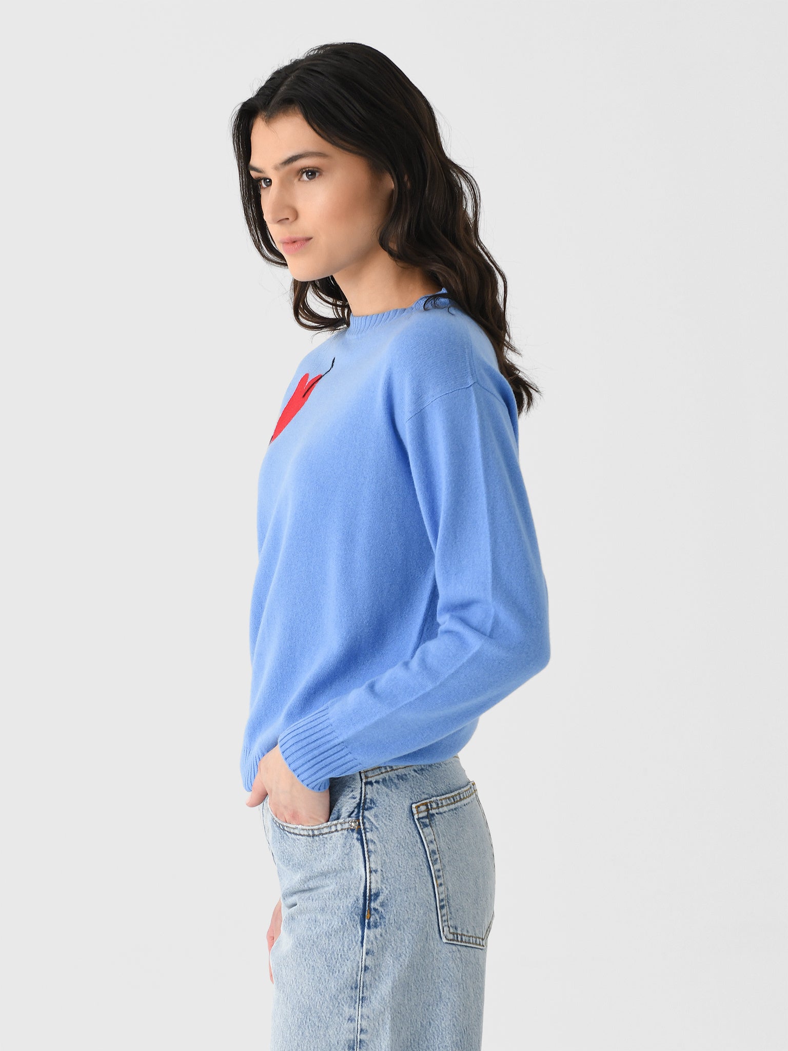 ZNC25-401xSKYLARROSE-alt2