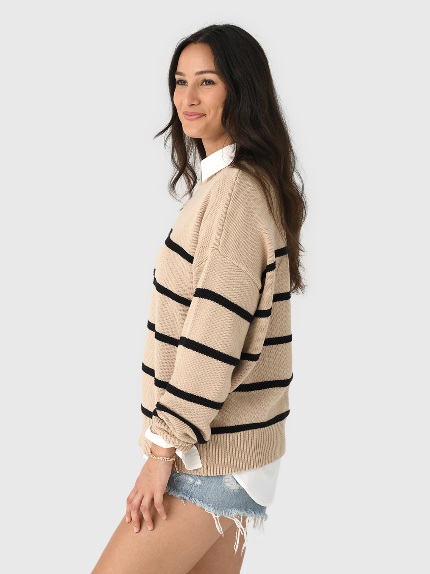 ZW253323xBISCUIT-alt2