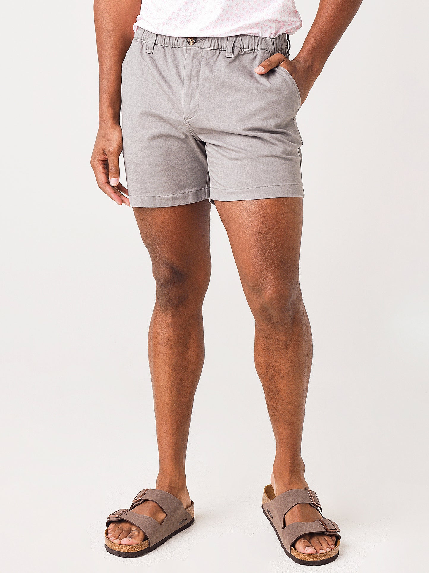 Chubbies Men's The Silver Linings 5.5" Short - Saint Bernard