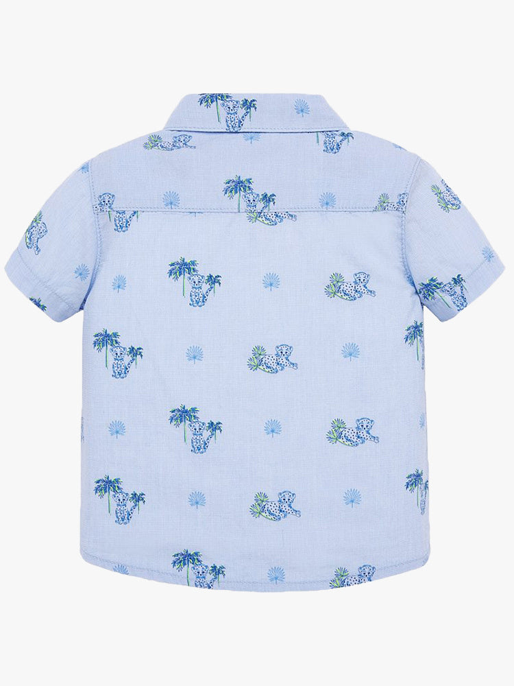 1.159xLIGHTBLUE-alt1