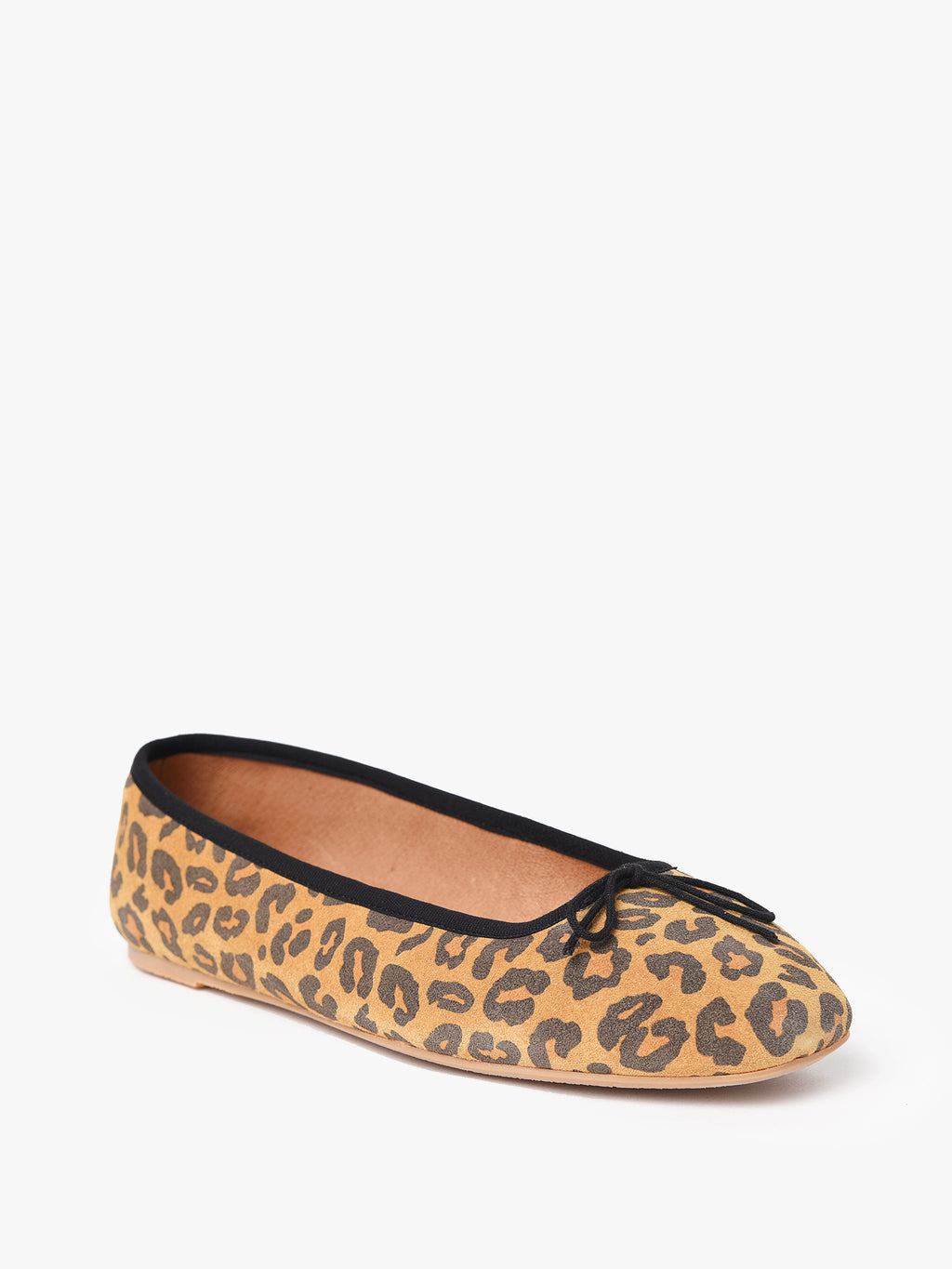 1000816xLEOPARD-alt1