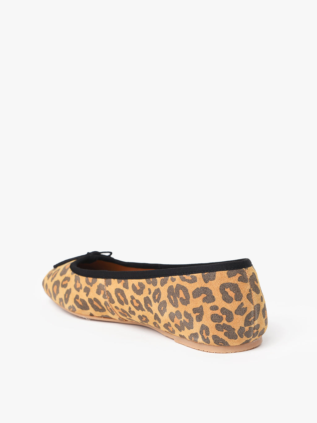 1000816xLEOPARD-alt2