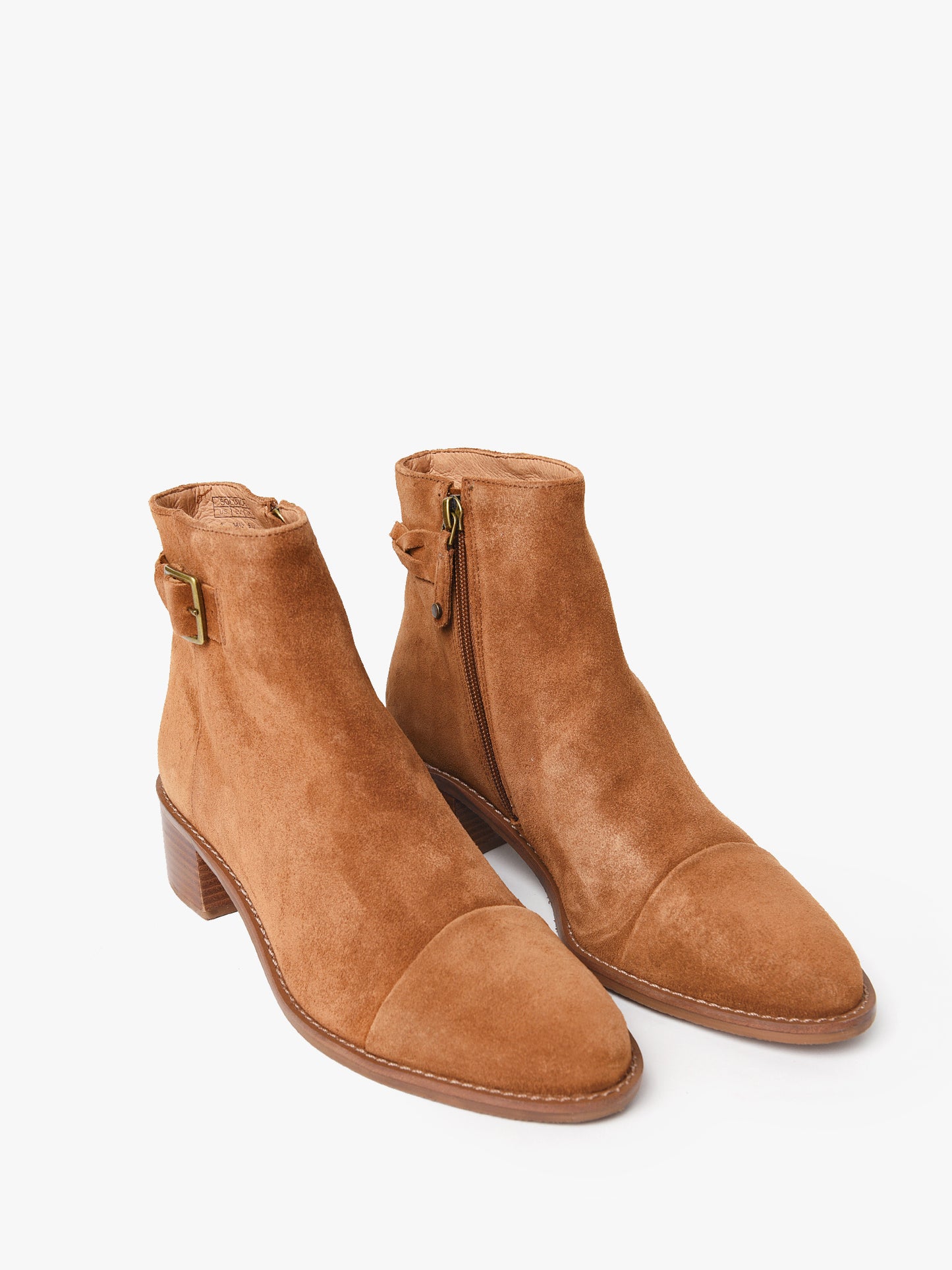 1000836xCHESTNUT-alt3