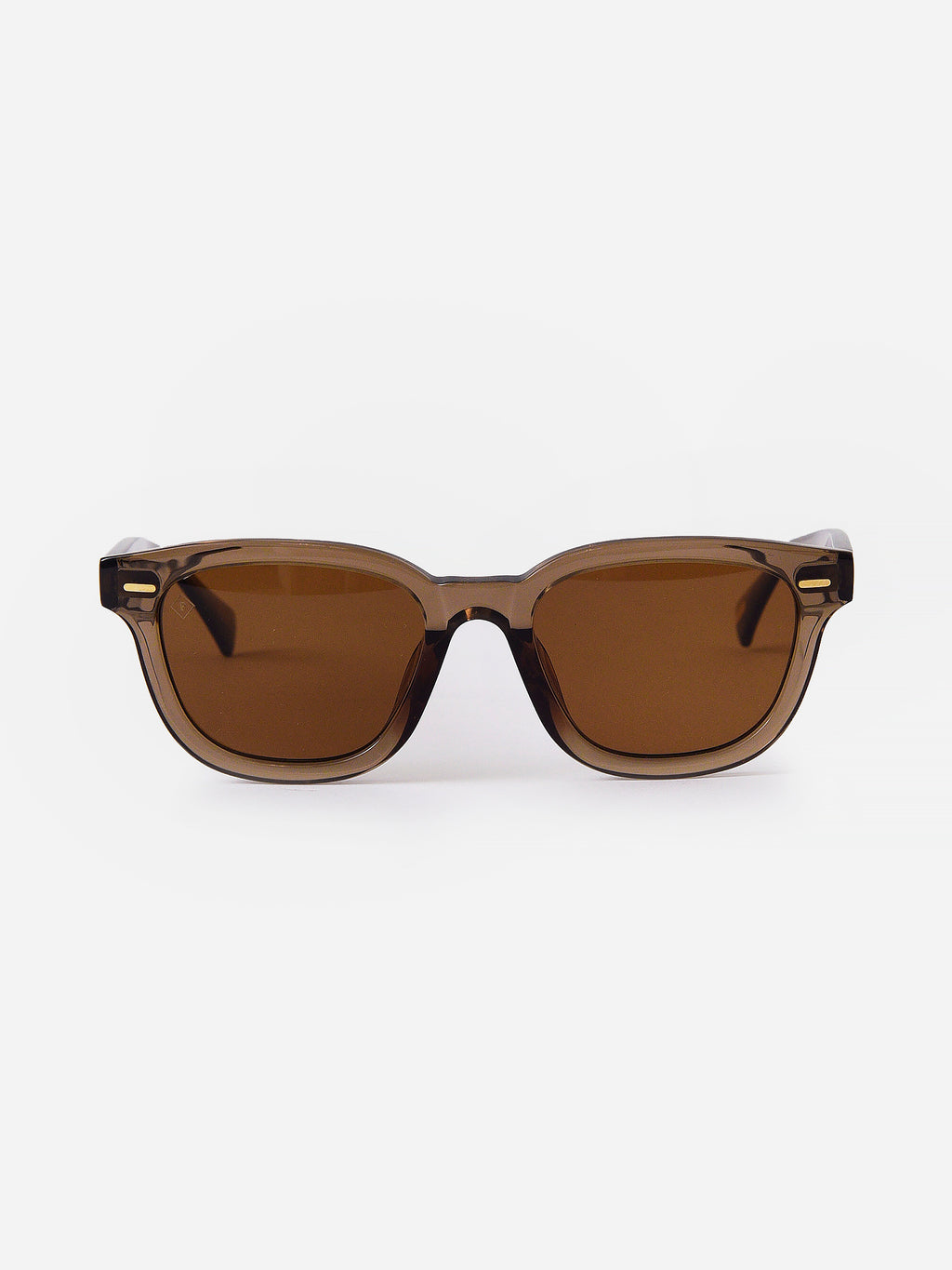 100M211MYLxGHOSTVIBRANTBROWNPOLARIZED-alt1