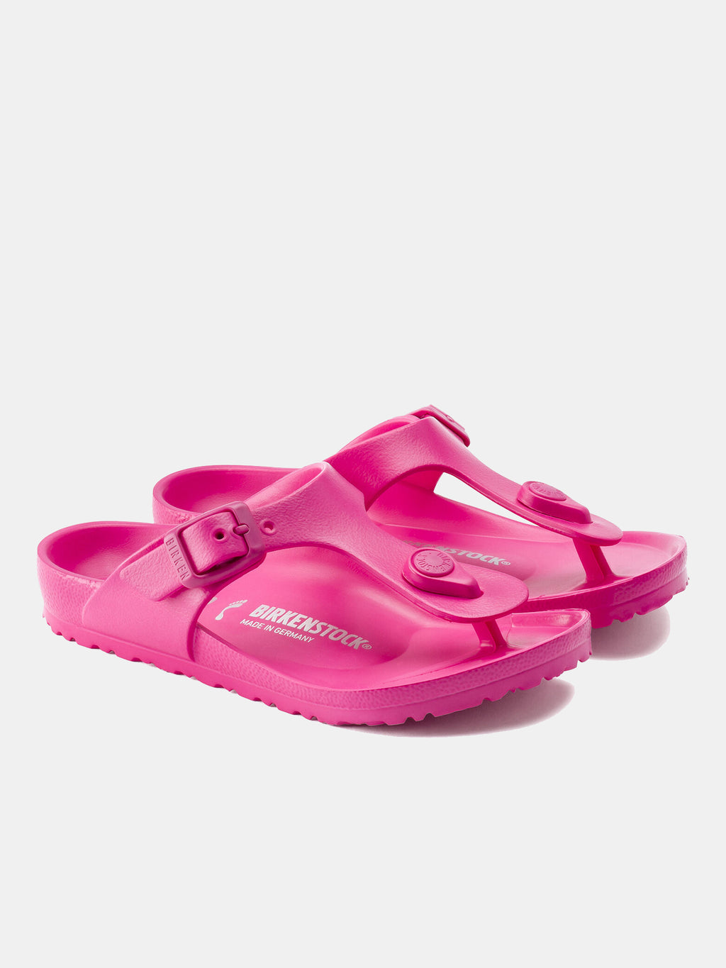 1015464xBEETROOT-alt1