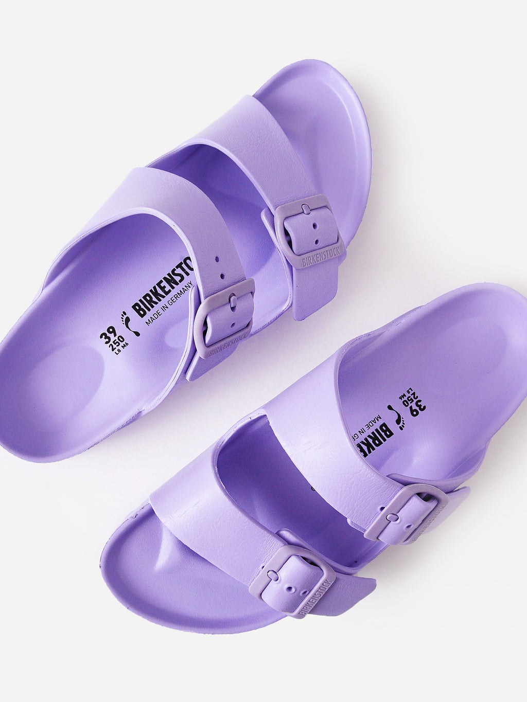 1017046xPURPLEFOG-alt3